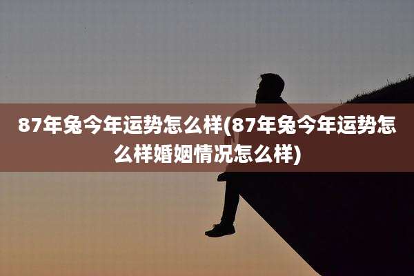 87年兔今年运势怎么样(87年兔今年运势怎么样婚姻情况怎么样)