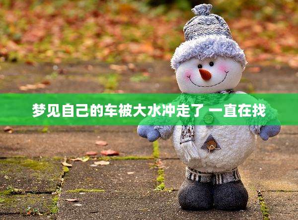 梦见自己的车被大水冲走了 一直在找