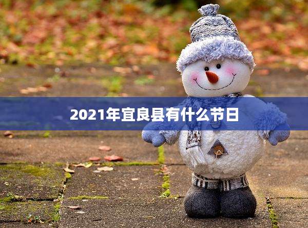 2021年宜良县有什么节日