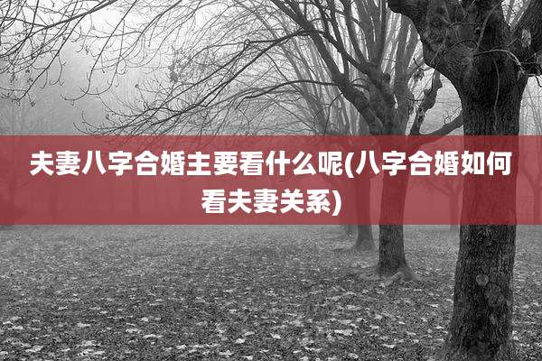 夫妻八字合婚主要看什么呢(八字合婚如何看夫妻关系)