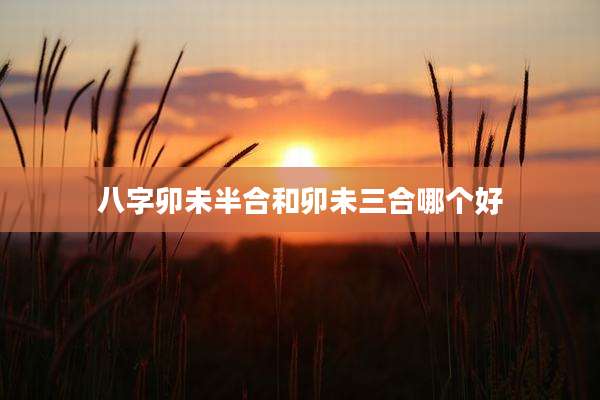八字卯未半合和卯未三合哪个好