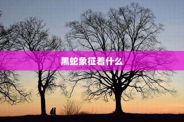 黑蛇象征着什么