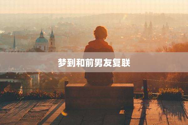 梦到和前男友复联
