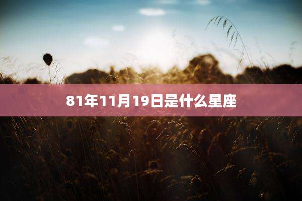 81年11月19日是什么星座