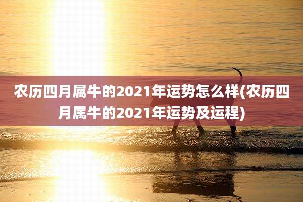 农历四月属牛的2021年运势怎么样(农历四月属牛的2021年运势及运程)