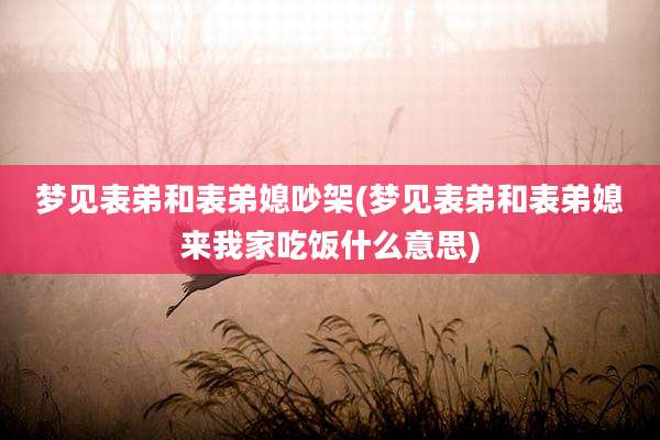 梦见表弟和表弟媳吵架(梦见表弟和表弟媳来我家吃饭什么意思)