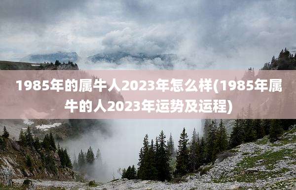 1985年的属牛人2023年怎么样(1985年属牛的人2023年运势及运程)
