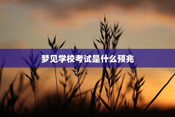 梦见学校考试是什么预兆