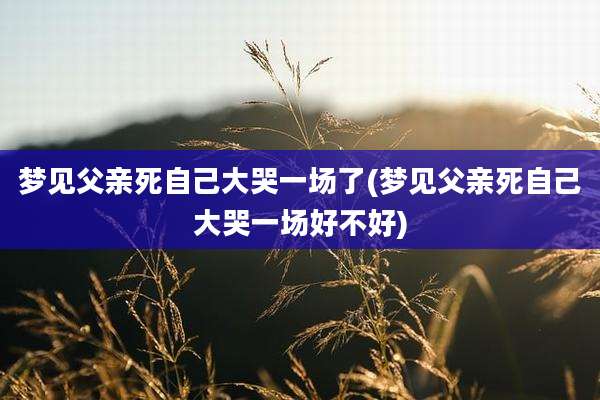 梦见父亲死自己大哭一场了(梦见父亲死自己大哭一场好不好)