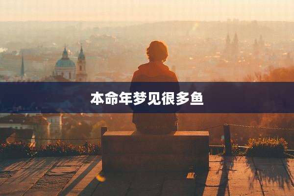 本命年梦见很多鱼