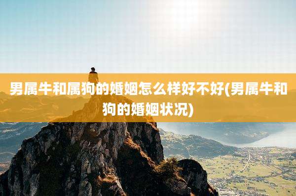 男属牛和属狗的婚姻怎么样好不好(男属牛和狗的婚姻状况)