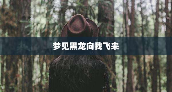 梦见黑龙向我飞来