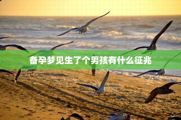 备孕梦见生了个男孩有什么征兆
