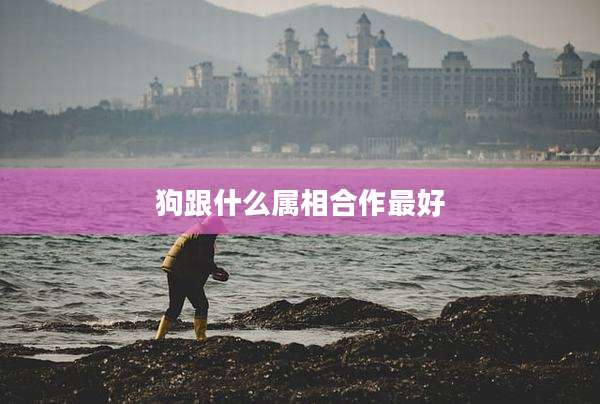 狗跟什么属相合作最好