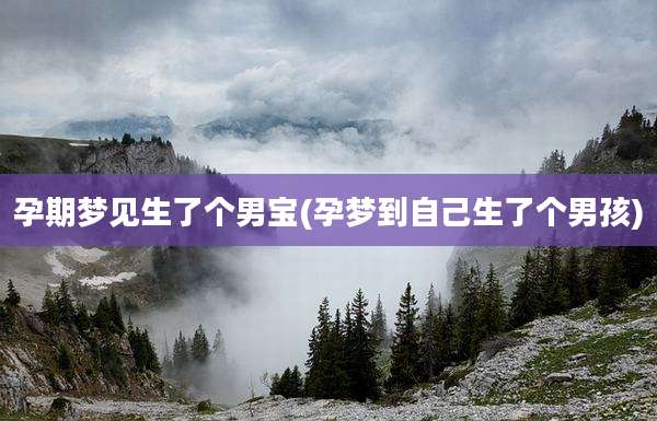 孕期梦见生了个男宝(孕梦到自己生了个男孩)