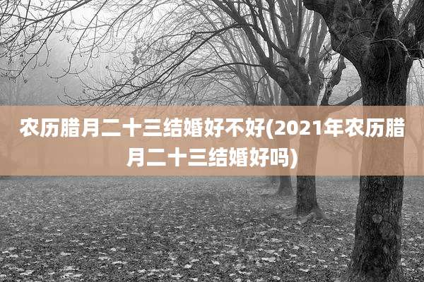农历腊月二十三结婚好不好(2021年农历腊月二十三结婚好吗)