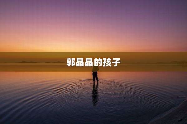 郭晶晶的孩子
