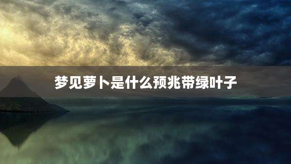 梦见萝卜是什么预兆带绿叶子