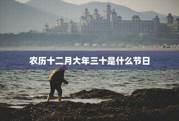 农历十二月大年三十是什么节日