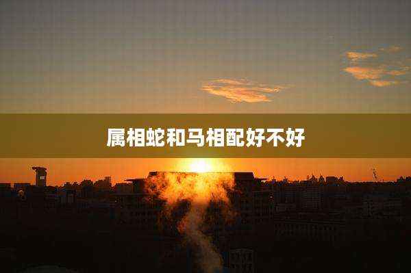 属相蛇和马相配好不好