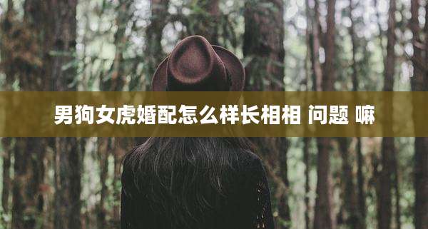 男狗女虎婚配怎么样长相相 问题 嘛