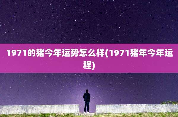1971的猪今年运势怎么样(1971猪年今年运程)
