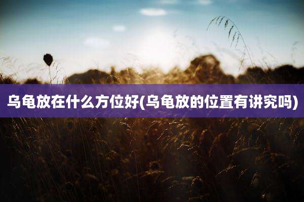 乌龟放在什么方位好(乌龟放的位置有讲究吗)