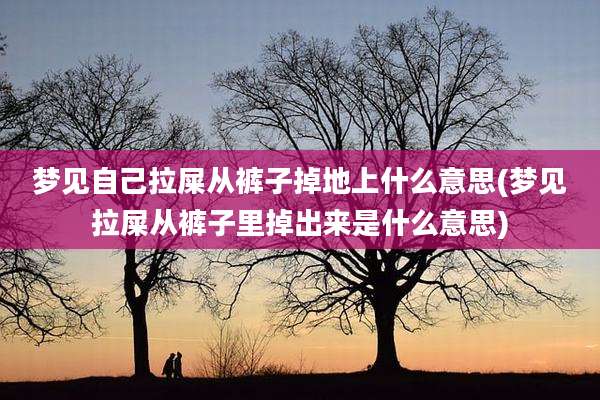 梦见自己拉屎从裤子掉地上什么意思(梦见拉屎从裤子里掉出来是什么意思)
