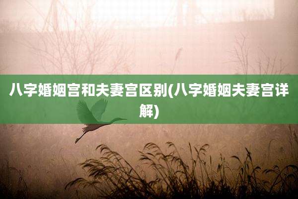 八字婚姻宫和夫妻宫区别(八字婚姻夫妻宫详解)