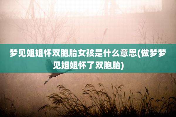 梦见姐姐怀双胞胎女孩是什么意思(做梦梦见姐姐怀了双胞胎)