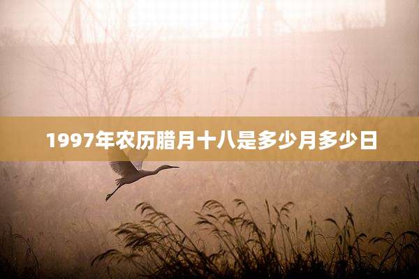 1997年农历腊月十八是多少月多少日