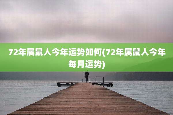 72年属鼠人今年运势如何(72年属鼠人今年每月运势)
