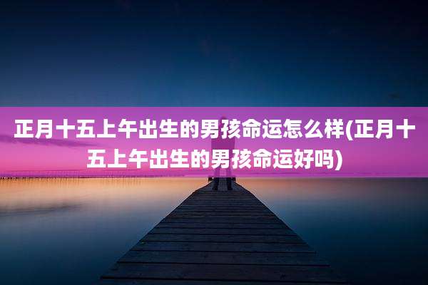 正月十五上午出生的男孩命运怎么样(正月十五上午出生的男孩命运好吗)