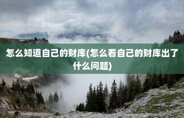 怎么知道自己的财库(怎么看自己的财库出了什么问题)
