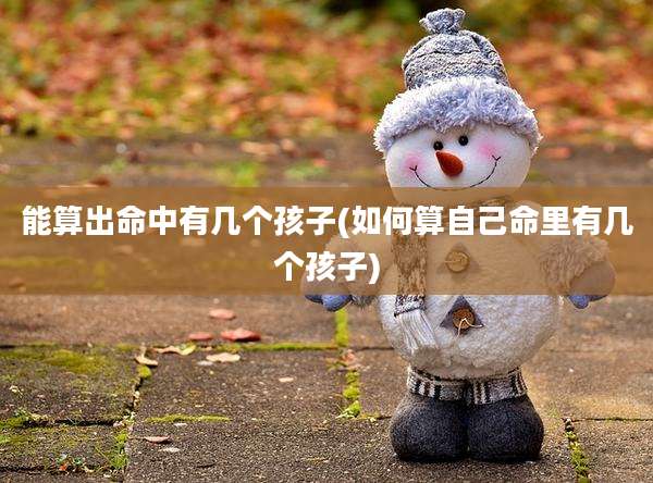 能算出命中有几个孩子(如何算自己命里有几个孩子)
