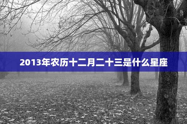 2013年农历十二月二十三是什么星座