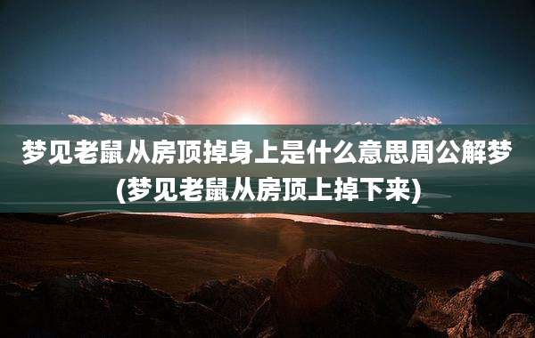 梦见老鼠从房顶掉身上是什么意思周公解梦(梦见老鼠从房顶上掉下来)