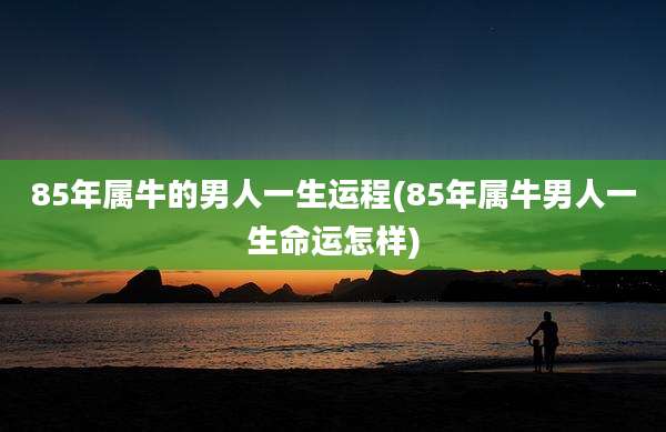 85年属牛的男人一生运程(85年属牛男人一生命运怎样)