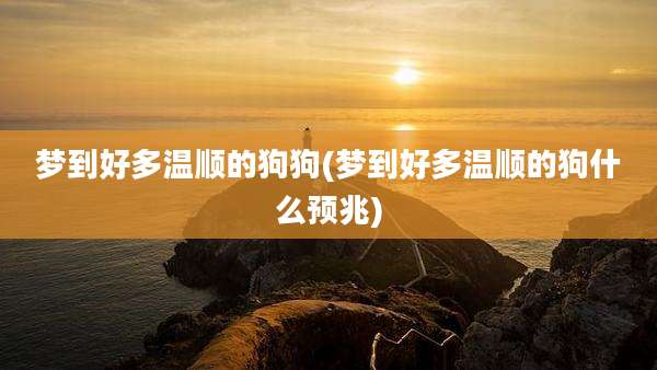 梦到好多温顺的狗狗(梦到好多温顺的狗什么预兆)