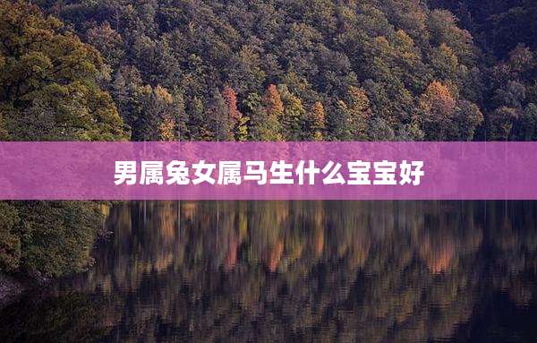 男属兔女属马生什么宝宝好