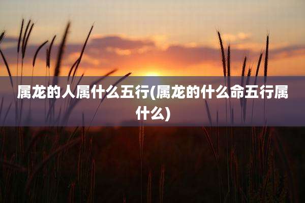 属龙的人属什么五行(属龙的什么命五行属什么)