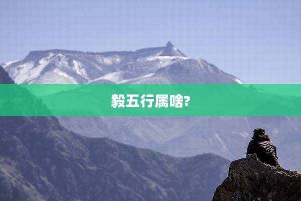 毅五行属啥?