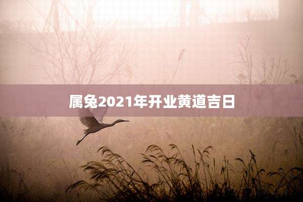 属兔2021年开业黄道吉日