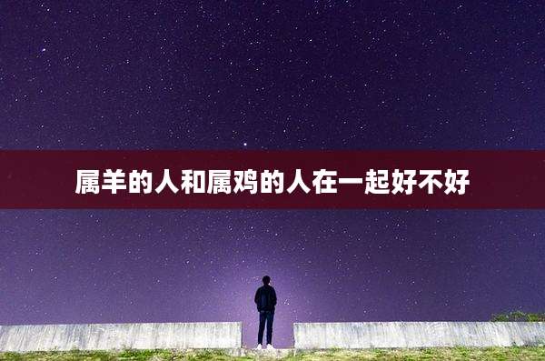 属羊的人和属鸡的人在一起好不好