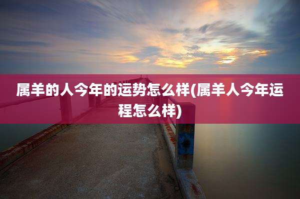 属羊的人今年的运势怎么样(属羊人今年运程怎么样)