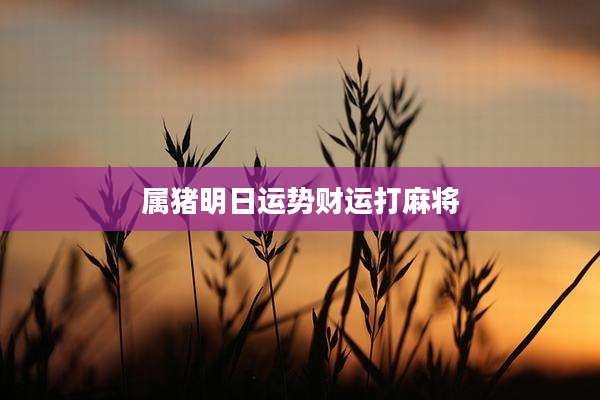 属猪明日运势财运打麻将