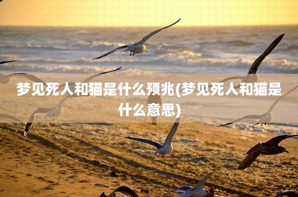 梦见死人和猫是什么预兆(梦见死人和猫是什么意思)