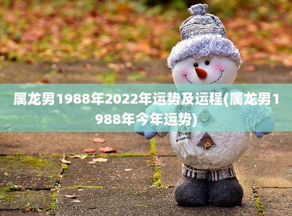 属龙男1988年2022年运势及运程(属龙男1988年今年运势)