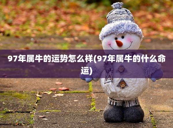 97年属牛的运势怎么样(97年属牛的什么命运)