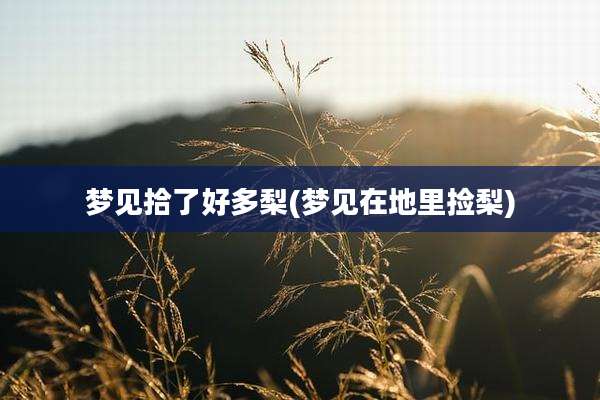 梦见拾了好多梨(梦见在地里捡梨)